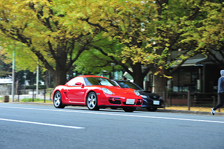 早朝撮影会＠外苑 2010/11-5