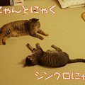 100319-【猫アニメ】にゃんとにゃくシンクロにゃ！～2