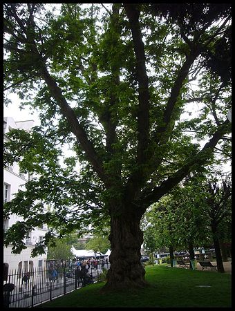 P2450687