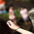 Photos: IMG_6392