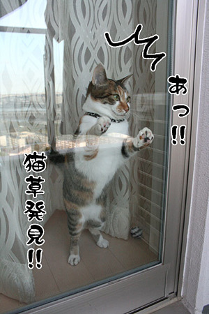 2010041702