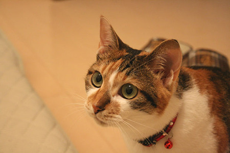 2010071501