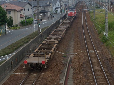 DSCN3825