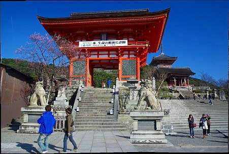 IMGP2165 パノラマ写真
