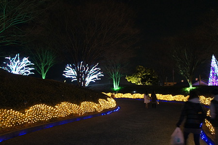 DSC00623