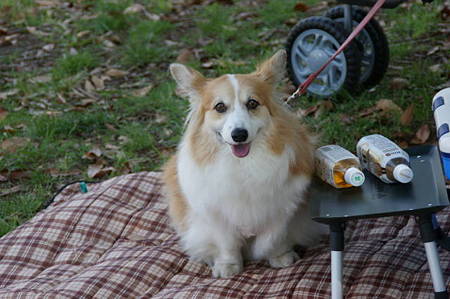 DSC05621