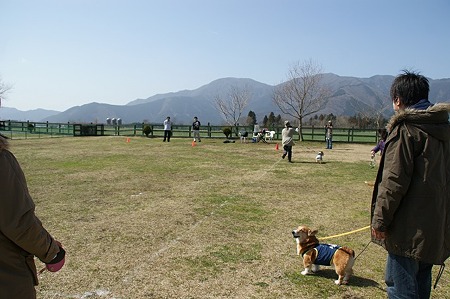 DSC07130