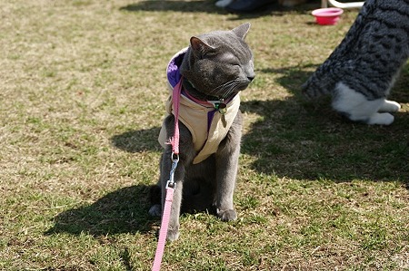 DSC07191
