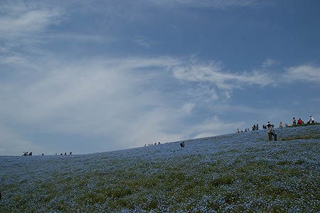 DSC08569