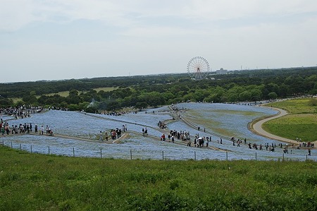 DSC08634