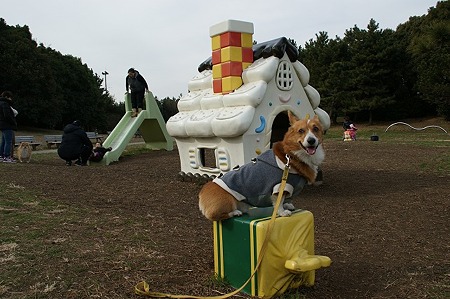DSC07341