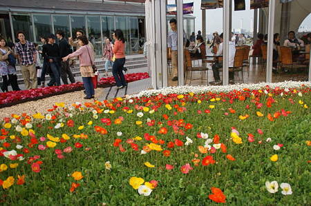DSC09820