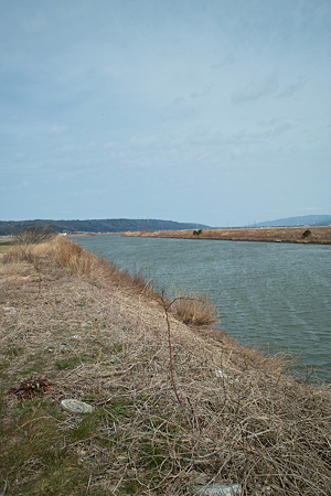 River03042012dp1-01