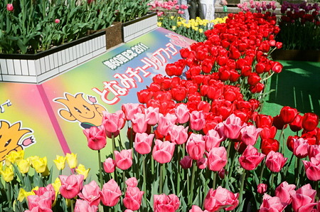 SMENA_FUJI_PRO400H05052011-03