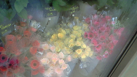 201007041203001