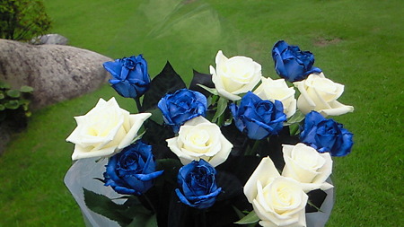 201007041225000