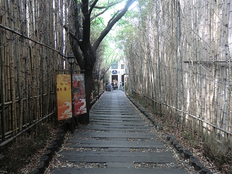 CIMG4409_R CIMG4409_R