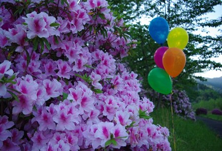 IMGP1060_0506