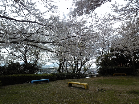 DVC00466