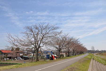 DSC_2494L