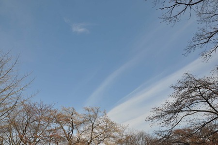 DSC_2694L