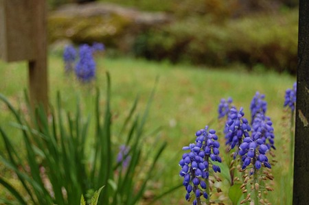 DSC_2511d4L