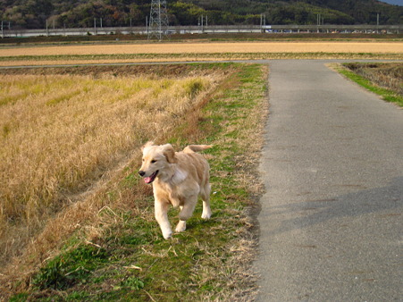 PIC00035