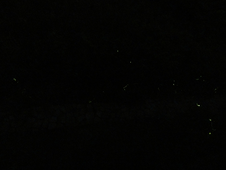 DSC00528