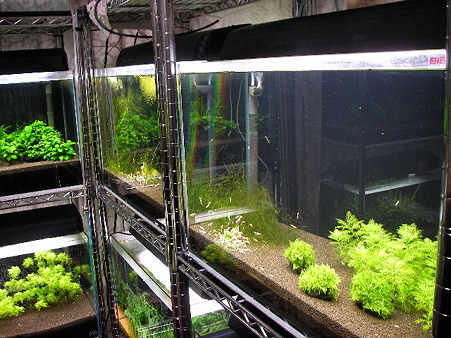2010 05/31 002