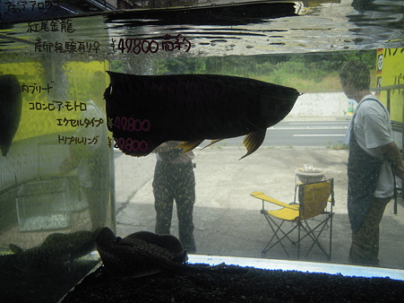 2010 06/10 プチファームO2 004