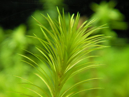 2010 11/12 002