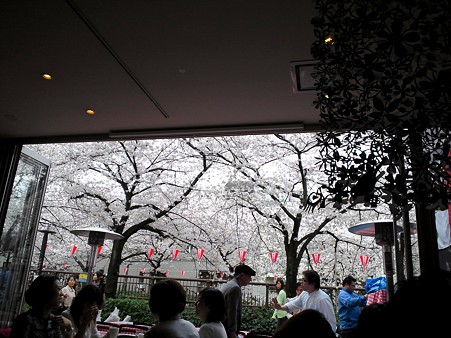 店内からの桜2@葉花DECO