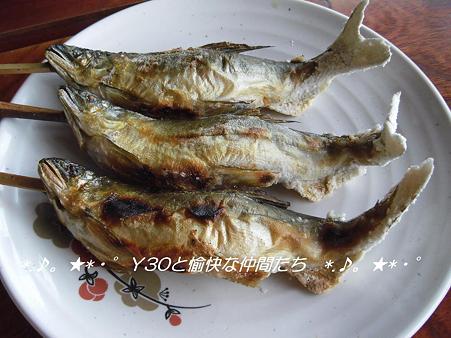 DSCF9038_pa