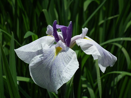 DSCF0071