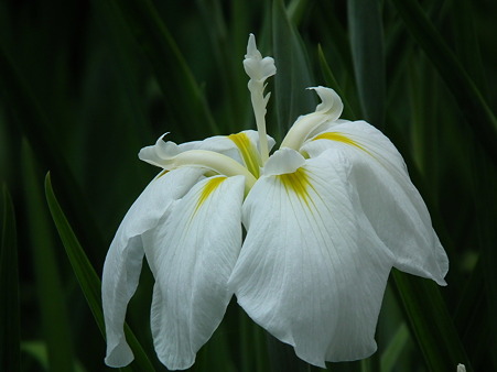 DSCF0159
