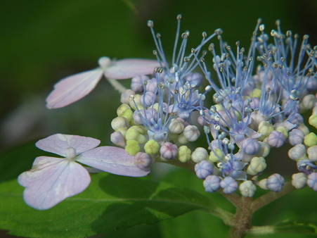 DSCF0673