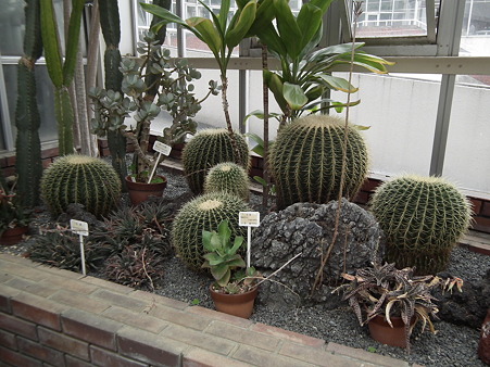 DSCF0316