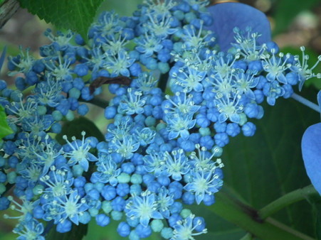 DSCF0642
