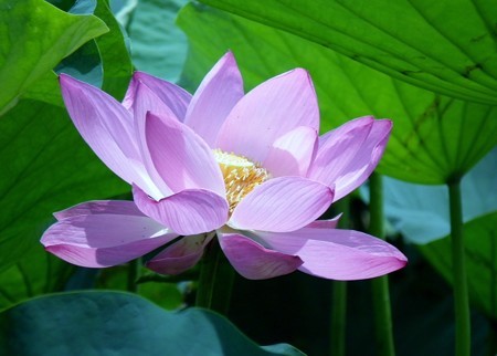 DSCF0133