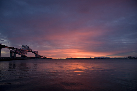 GateBridge110101075