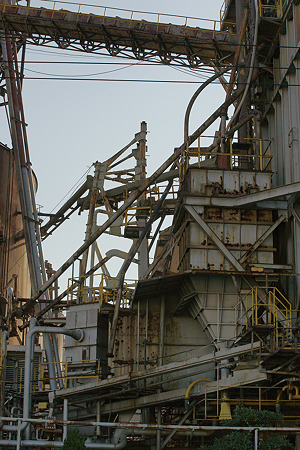 ebisutyo081130006