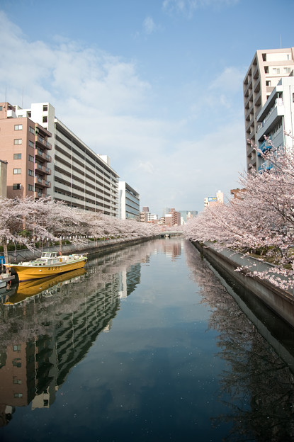 水面に…