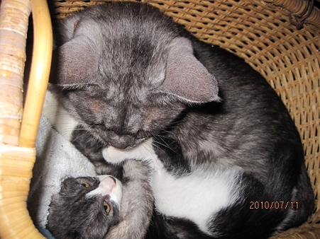 IMG_0398jl