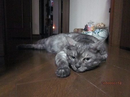 IMG_3841au