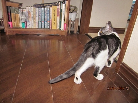 IMG_8645se