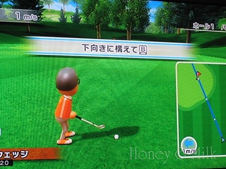 Wiiでゴルフ１　IMG_8873