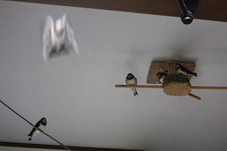 あっ飛びだしました