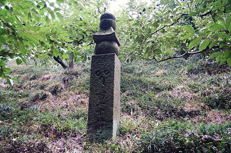 2010年08月14日_DSC_0051