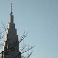 DSCN5251