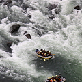 The rafting in the Tone river!